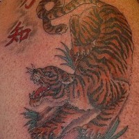 Asian style tiger with hieroglyphs tattoo