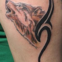 Brown howling wolf tattoo with black tribal sign