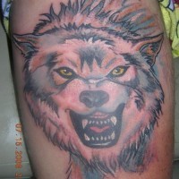 Angry colored wolf tattoo on shoulder