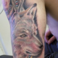 Tatouage sur le bras d'un loup sérieux