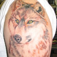 Colored wolf with yellow eyes tattoo