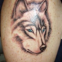Serious wolf with blue eyes tattoo