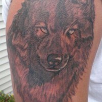 Tragic blind wolf tattoo on shoulder