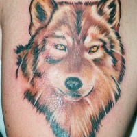 Tattoo with serious red wolf