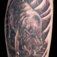Big wolf is drinking water on tattoo