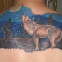 Big back tattoo with wolf and night sky