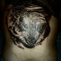 Tattoo mit schlechtem bösem Wolf am Rücken