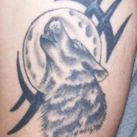 Wolf tattoo with a moon