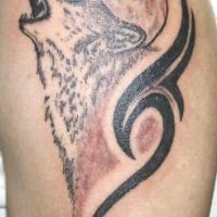 Tattoo mit Wolf und Tribalzeichen
