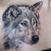 Schönes Wolf Tattoo mit blauen Augen