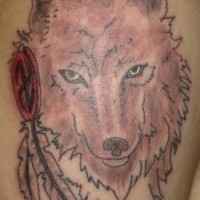 La plume avec le tatouage d'un joli loup