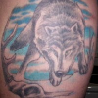 Wolf tattoo with blue sky