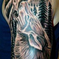 Gros tatouage de loup dans le forêt