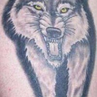 Tattoo with angry wolf on the shoulder