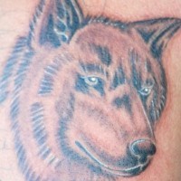 Tatuaggio bello la testa del lupo