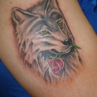 Romantic tattoo with wolf and rose