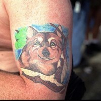 Tatuaggio colorato sul braccio la testa del lupo tranquillo