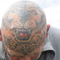 Big wolf tattoo on head