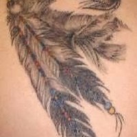 Wolf tattoo with two big feathers