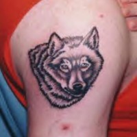 Tête et cou de loup le tatouage