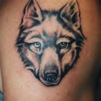 Tatuaggio semplice sul deltoide la testa del lupo
