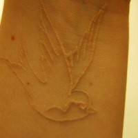 Le tatouage sur le poignet de moineau classique à l'encre blanc