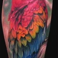 Tatuaggio grande sul braccio il papagallo