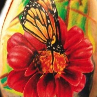 Tatuaggio colorato sul deltoide la farfalla sul fiore rosso