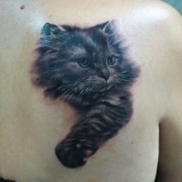 Portrait of black kitten tattoo on back