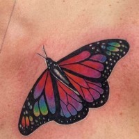 Tatuaggio colorato sulla clavicola la farfalla