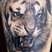 Schwarze Tinte Tattoo von brüllendem Tiger