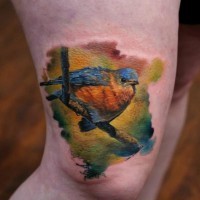 Tatuaggio realistico sulla gamba l'uccello colorato