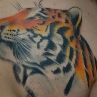 Tattoo of tiger head on mans chest