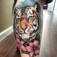 Farbige Tätowierung Tiger am Wadenmuskel
