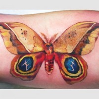Tatuaggio colorato sul braccio la farfalla