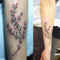 Tender blossoming branch with tiny pale pink flowers tattoo on arm