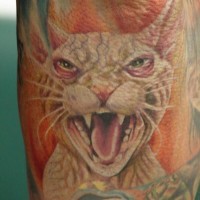 Tatuaje en el codo,  gato egipcio blanco furioso