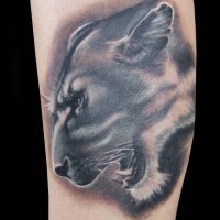 Tatuaggio sul braccio la faccia di leonessa