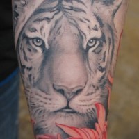 Tattoo von weißem Tiger auf der Arm