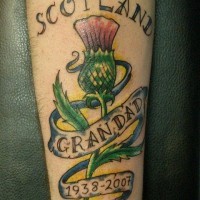 Thistle scotland tattoo with lettering on arm