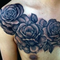 Three big roses detailed old style tattoo on shoulder and chest