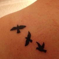 tre piccoli neri uccelli tatuaggio su spalla di ragazza