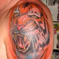 Tiger head coloured tattoo large