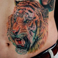 Realistic roaring tiger tattoo on stomach