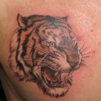testa tigre tatuaggio sul petto