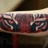 Tiger eyes coloured tattoo on the arm