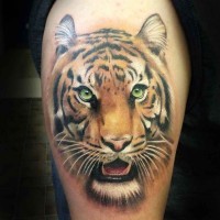 Tattoo von Tigerkopf