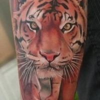 Realistic 3d crawling tiger tattoo on arm