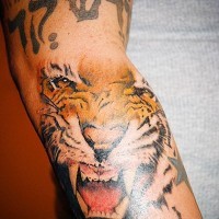 Tiger roar tattoo in colour