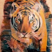 Watercolour tiger in nature tattoo